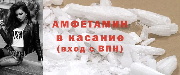 твердый Вяземский