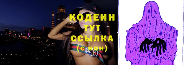 твердый Вяземский