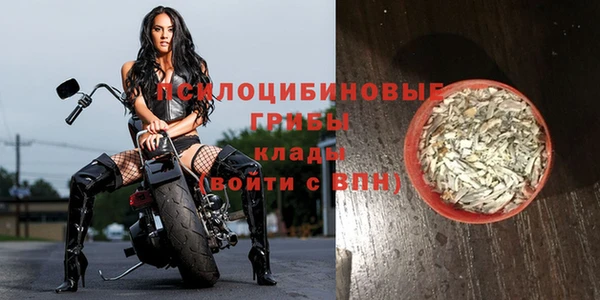 сатива Вязники
